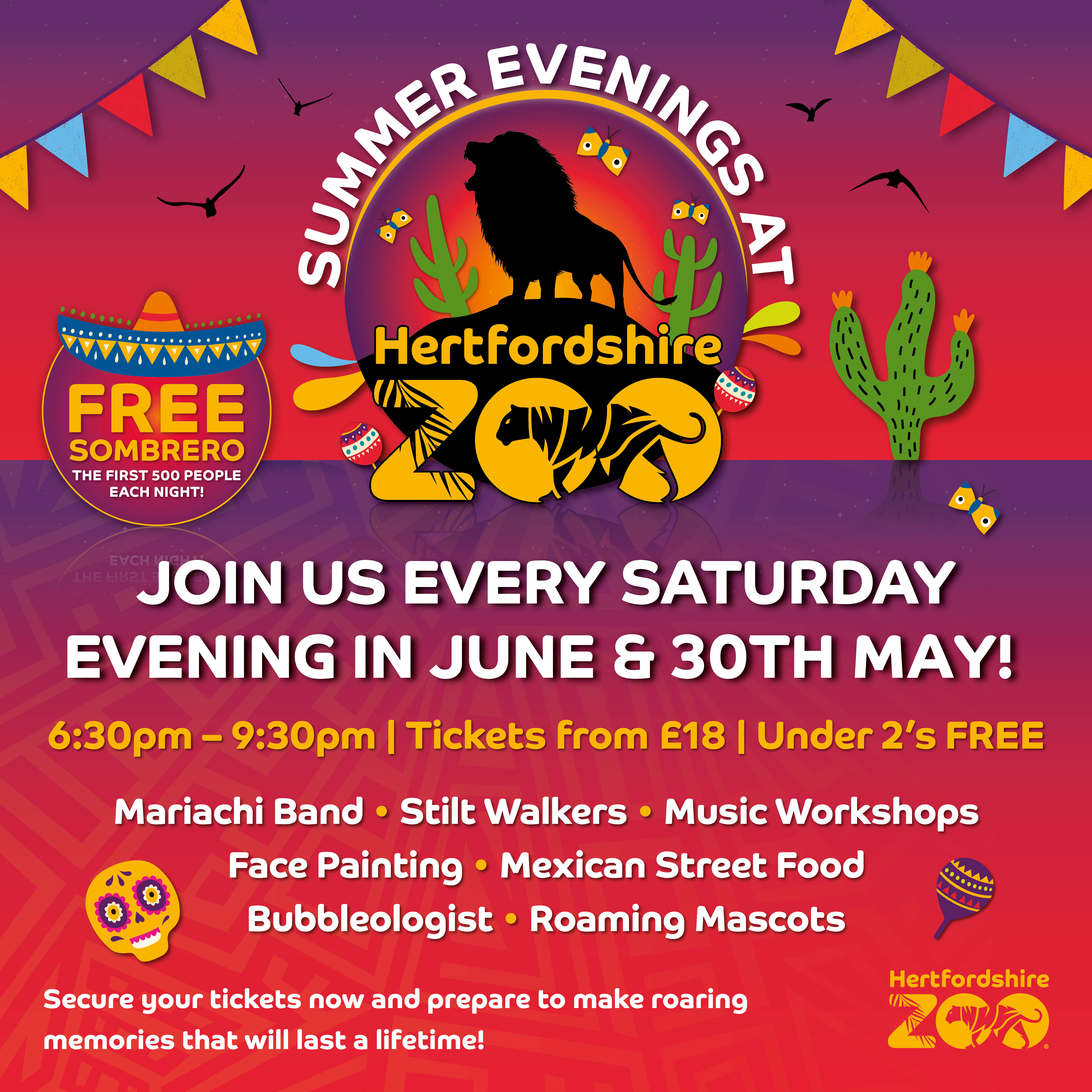 Summer Evenings at Hertfordshire Zoo